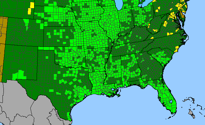 The range of Lythrum alatum